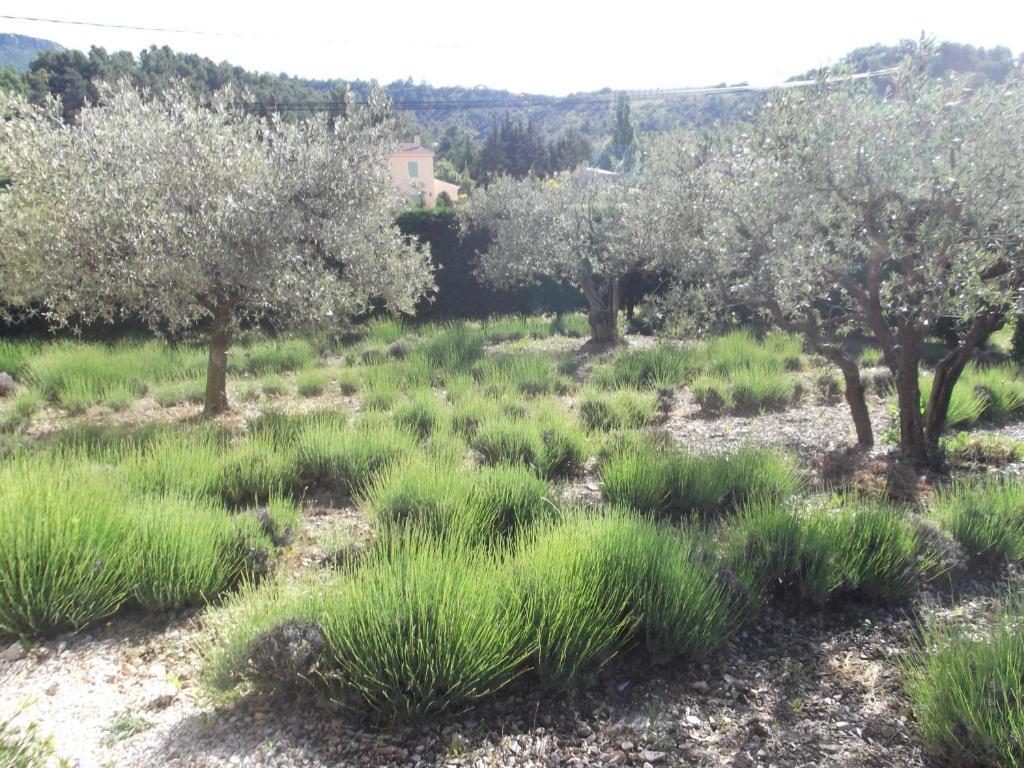La Serenade Buis-les-Baronnies Exteriér fotografie